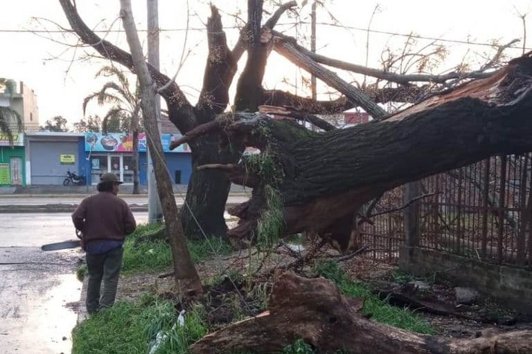 VARELA COLAPSADA POR LA TORMENTA